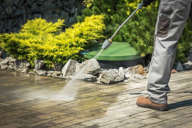 Best Oil Spill Cleanup  in Shark River Hills, NJ