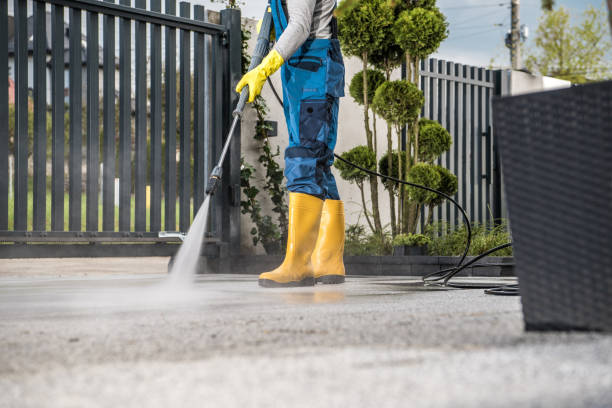 Best House Exterior Washing  in Shark River Hills, NJ